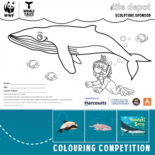 WHALE TALES 2022 COLOURING COMPETITION