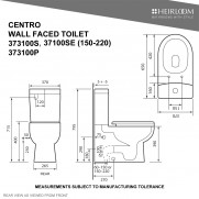 Centro Back-To-Wall Toilet - 373100SE