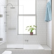 ALTO 10MM SINGLE HINGED BATHSCREEN