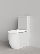 CASA CURVE BACK TO WALL TOILET