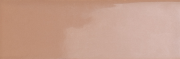 Bits Cider Gloss 37x116