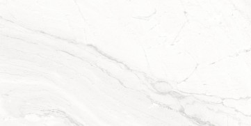 Everest Gloss Wall 300 x 600