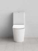 FRANK BACK-TO-WALL TOILET SUITE