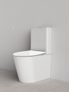 FRANK BACK-TO-WALL TOILET SUITE