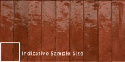 Kech Autumn Brick 300 X 600