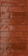 Kech Autumn Brick 300 X 600