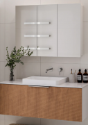PAVIA MIRROR CABINET - 1000MM - 120MM - 3 DOOR