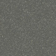 Pols Graphite 597 X 597