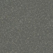 Pols Graphite 597 X 597