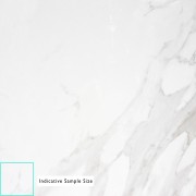 Statuario White Super Gloss 600 X 600 