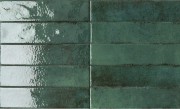 Materici Foresta 60 X 250