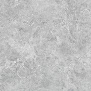Tundra Grey Microtec 600 X 600