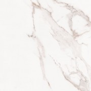 CARRARA GOLD MATT (R10) 600 X 600 BOX 1.44M2
