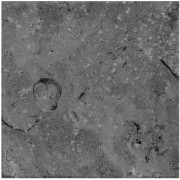 Karst Stone Nero 150 X 150