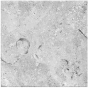 Karst Stone White 150 X 150