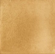 Clay Mustard 100 X 100mm 